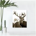 Picture of The Winter Deer _GroupedProduct_Rectangle_Portrait_Photography _GroupedProduct_Rectangle_Portrait_Unframed_Print_Only_