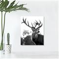 Picture of The Winter Deer _GroupedProduct_Rectangle_Portrait_Photography _GroupedProduct_Rectangle_Portrait_Unframed_Print_Only_