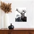 Picture of The Winter Deer _GroupedProduct_Rectangle_Portrait_Photography _GroupedProduct_Rectangle_Portrait_Unframed_Print_Only_