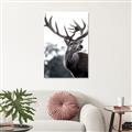 Picture of The Winter Deer _GroupedProduct_Rectangle_Portrait_Photography _GroupedProduct_Rectangle_Portrait_Unframed_Print_Only_