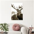 Picture of The Winter Deer _GroupedProduct_Rectangle_Portrait_Photography _GroupedProduct_Rectangle_Portrait_Unframed_Print_Only_