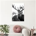 Picture of The Winter Deer _GroupedProduct_Rectangle_Portrait_Photography _GroupedProduct_Rectangle_Portrait_Unframed_Print_Only_