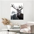 Picture of The Winter Deer _GroupedProduct_Rectangle_Portrait_Photography _GroupedProduct_Rectangle_Portrait_Unframed_Print_Only_