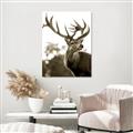 Picture of The Winter Deer _GroupedProduct_Rectangle_Portrait_Photography _GroupedProduct_Rectangle_Portrait_Unframed_Print_Only_