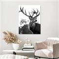 Picture of The Winter Deer _GroupedProduct_Rectangle_Portrait_Photography _GroupedProduct_Rectangle_Portrait_Unframed_Print_Only_