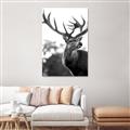 Picture of The Winter Deer _GroupedProduct_Rectangle_Portrait_Photography _GroupedProduct_Rectangle_Portrait_Unframed_Print_Only_