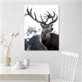 Picture of The Winter Deer _GroupedProduct_Rectangle_Portrait_Photography _GroupedProduct_Rectangle_Portrait_Unframed_Print_Only_