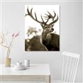 Picture of The Winter Deer _GroupedProduct_Rectangle_Portrait_Photography _GroupedProduct_Rectangle_Portrait_Unframed_Print_Only_