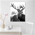 Picture of The Winter Deer _GroupedProduct_Rectangle_Portrait_Photography _GroupedProduct_Rectangle_Portrait_Unframed_Print_Only_