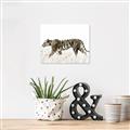 Picture of Tiger Path _GroupedProduct_Rectangle_Landscape_Photography _GroupedProduct_Rectangle_Landscape_Unframed_Print_Only_