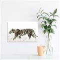 Picture of Tiger Path _GroupedProduct_Rectangle_Landscape_Photography _GroupedProduct_Rectangle_Landscape_Unframed_Print_Only_