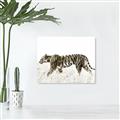 Picture of Tiger Path _GroupedProduct_Rectangle_Landscape_Photography _GroupedProduct_Rectangle_Landscape_Unframed_Print_Only_