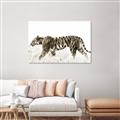 Picture of Tiger Path _GroupedProduct_Rectangle_Landscape_Photography _GroupedProduct_Rectangle_Landscape_Unframed_Print_Only_
