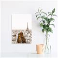 Picture of Touch of Mustard in Paris _GroupedProduct_Rectangle_Portrait_Photography _GroupedProduct_Rectangle_Portrait_Unframed_Print_Only_