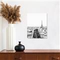 Picture of Touch of Mustard in Paris _GroupedProduct_Rectangle_Portrait_Photography _GroupedProduct_Rectangle_Portrait_Unframed_Print_Only_