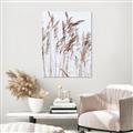 Picture of Wheat in the Wind  _GroupedProduct_Rectangle_Portrait_Photography _GroupedProduct_Rectangle_Portrait_Unframed_Print_Only_