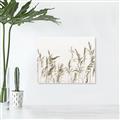 Picture of Wheat in the Wind II _GroupedProduct_Rectangle_Landscape_Photography _GroupedProduct_Rectangle_Landscape_Unframed_Print_Only_