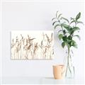 Picture of Wheat in the Wind IV _GroupedProduct_Rectangle_Landscape_Photography _GroupedProduct_Rectangle_Landscape_Unframed_Print_Only_