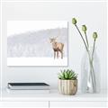 Picture of Winter Stag _GroupedProduct_Rectangle_Landscape_Unframed_Print_Only_