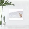 Picture of Winter Stag _GroupedProduct_Rectangle_Landscape_Unframed_Print_Only_