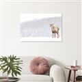 Picture of Winter Stag _GroupedProduct_Rectangle_Landscape_Unframed_Print_Only_