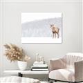Picture of Winter Stag _GroupedProduct_Rectangle_Landscape_Unframed_Print_Only_