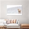 Picture of Winter Stag _GroupedProduct_Rectangle_Landscape_Unframed_Print_Only_