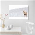 Picture of Winter Stag _GroupedProduct_Rectangle_Landscape_Unframed_Print_Only_