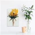 Picture of Yellow Bloom _GroupedProduct_Rectangle_Portrait_Photography _GroupedProduct_Rectangle_Portrait_Unframed_Print_Only_