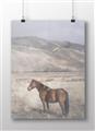 Picture of Lone Horse  _GroupedProduct_Rectangle_Landscape_Photography _GroupedProduct_Rectangle_Landscape_Unframed_Print_Only_