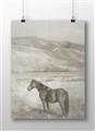 Picture of Lone Horse  _GroupedProduct_Rectangle_Landscape_Photography _GroupedProduct_Rectangle_Landscape_Unframed_Print_Only_