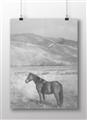 Picture of Lone Horse  _GroupedProduct_Rectangle_Landscape_Photography _GroupedProduct_Rectangle_Landscape_Unframed_Print_Only_