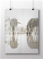 Picture of Sipping Zebras  _GroupedProduct_Rectangle_Landscape_Photography _GroupedProduct_Rectangle_Landscape_Unframed_Print_Only_