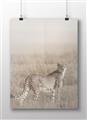Picture of Spotted in the Savanna  _GroupedProduct_Rectangle_Landscape_Photography _GroupedProduct_Rectangle_Landscape_Unframed_Print_Only_