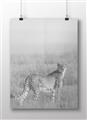 Picture of Spotted in the Savanna  _GroupedProduct_Rectangle_Landscape_Photography _GroupedProduct_Rectangle_Landscape_Unframed_Print_Only_