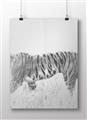 Picture of Tiger Path _GroupedProduct_Rectangle_Landscape_Photography _GroupedProduct_Rectangle_Landscape_Unframed_Print_Only_