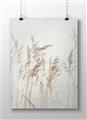 Picture of Wheat in the Wind IV _GroupedProduct_Rectangle_Landscape_Photography _GroupedProduct_Rectangle_Landscape_Unframed_Print_Only_