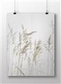 Picture of Wheat in the Wind IV _GroupedProduct_Rectangle_Landscape_Photography _GroupedProduct_Rectangle_Landscape_Unframed_Print_Only_