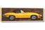 Picture of Yellow Jaguar