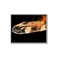 Picture of Fast and Furious  _GroupedProduct_Rectangle_Landscape_Canvas_Framed_