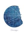 Picture of Round Chicago _GroupedProduct_Rectangle_Portrait_Unframed_Print_Only_