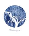 Picture of Round Washington _GroupedProduct_Rectangle_Portrait_Unframed_Print_Only_