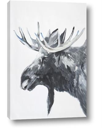 Picture of Moose Portrait