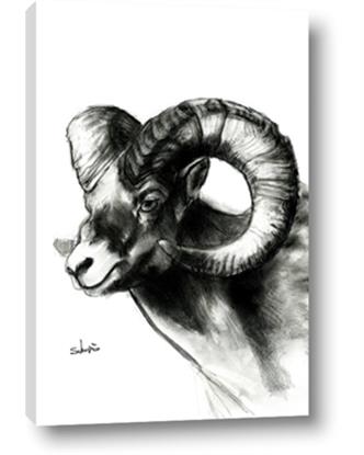 Picture of Sketched Ram