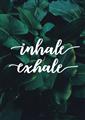 Picture of Palm Inhale Exhale _GroupedProduct_Rectangle_Portrait_Unframed_Print_Only_