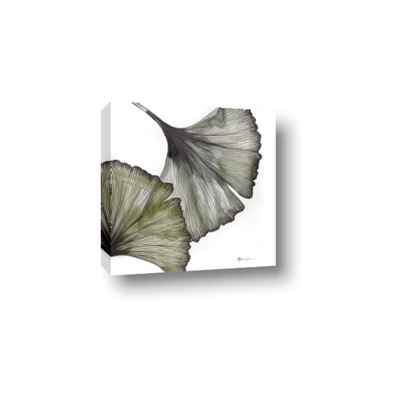 Picture of Ginko Leaves I _GroupedProduct_Square_Canvas_