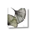 Picture of Ginko Leaves I _GroupedProduct_Square_Canvas_