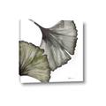 Picture of Ginko Leaves I _GroupedProduct_Square_Canvas_