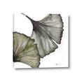 Picture of Ginko Leaves I _GroupedProduct_Square_Canvas_