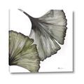 Picture of Ginko Leaves I _GroupedProduct_Square_Canvas_